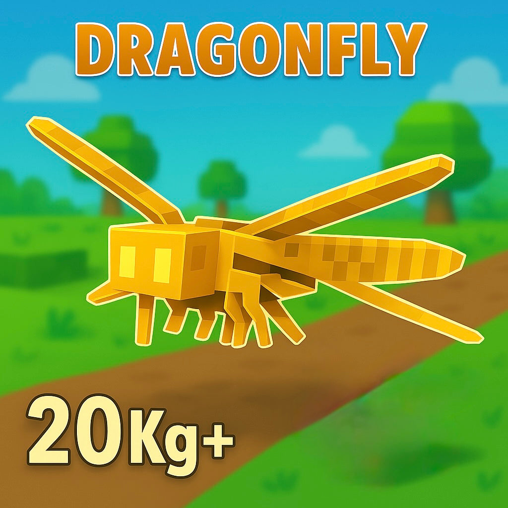 HUGE Dragonfly